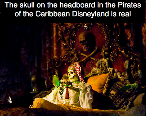 featured image the-skull-on-the-headboard-in-the-pirates-of-the-caribbean-disneyland-is-real