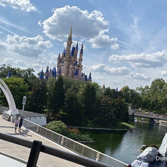 Best Things to do Disney World