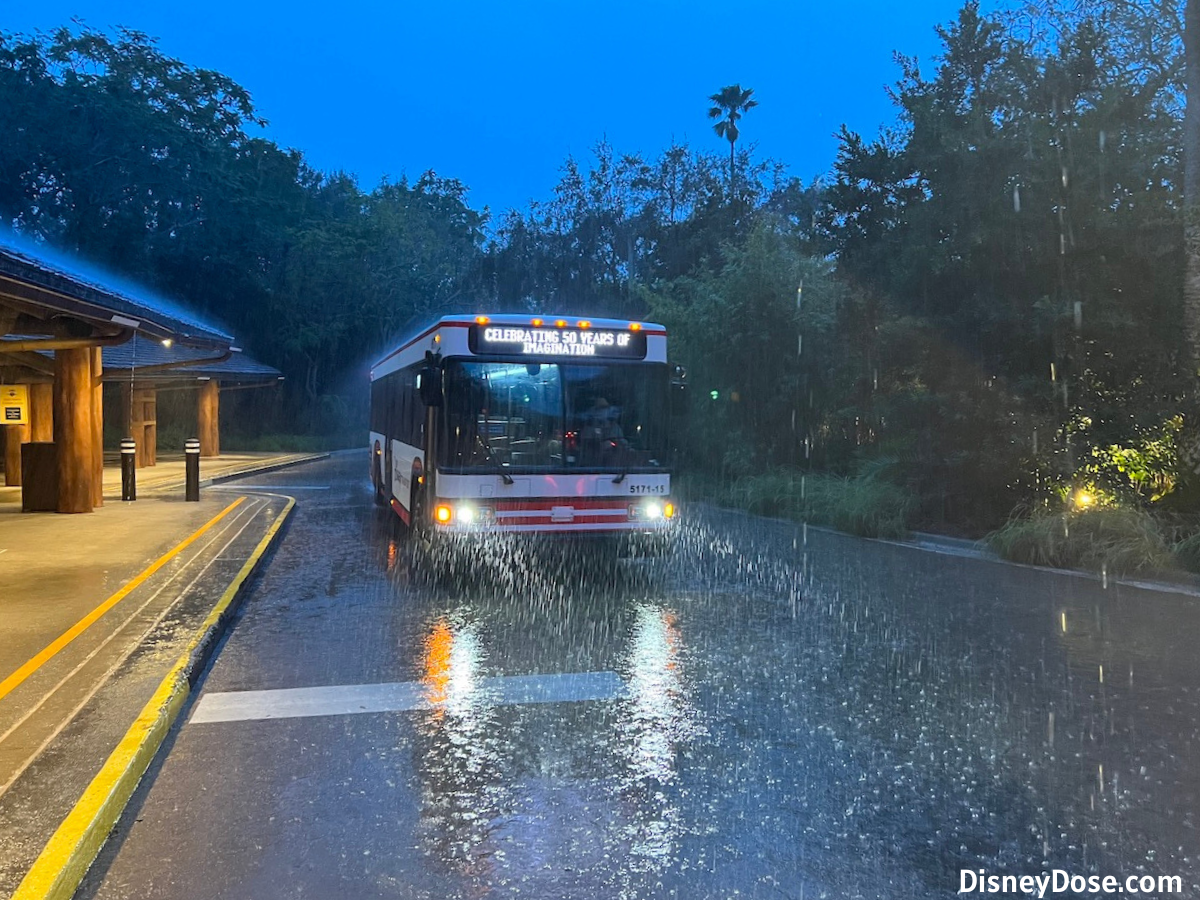 Disney World bus in the rain